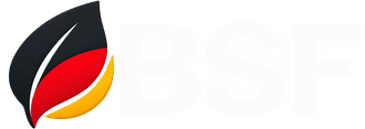 BSF – Benchmarking for Sustainable Futures logo